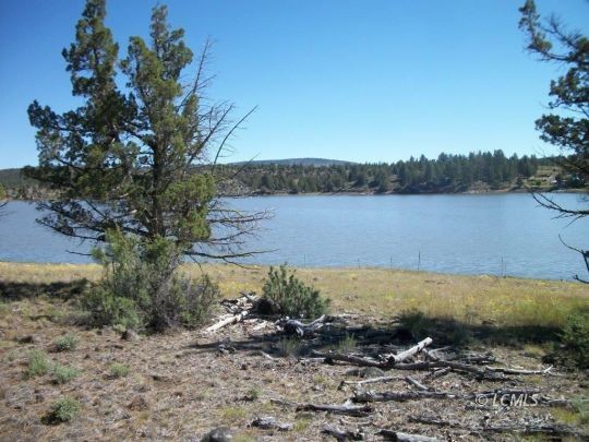 Other - Drews' Reservoir, Lakeview, OR