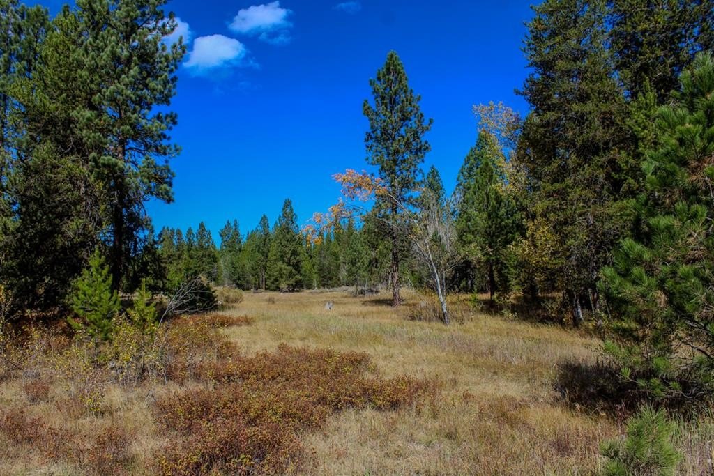 Other - 110 Warner Drive, Cascade, ID