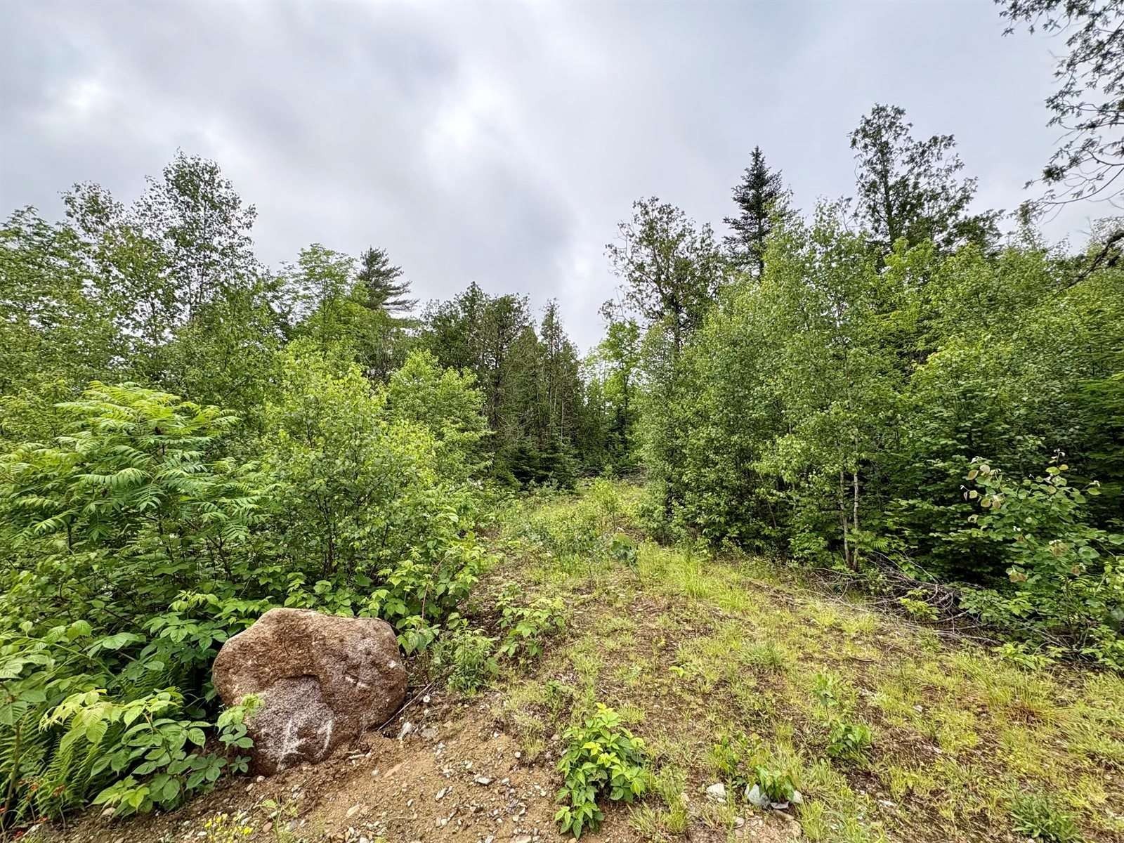 Other - Lot 2 Mt. Jefferson Heights, Lee, ME