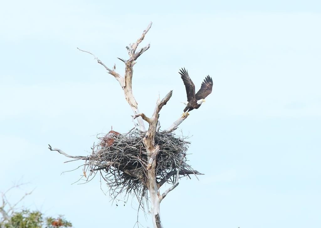 Other - 3050 Hwy 98 W, Port St. Joe, FL