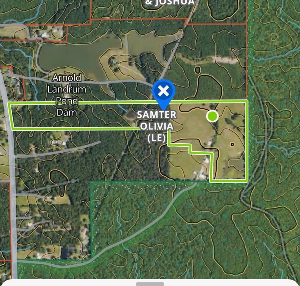 Other - 131 Landrum Rd, Ovett, MS