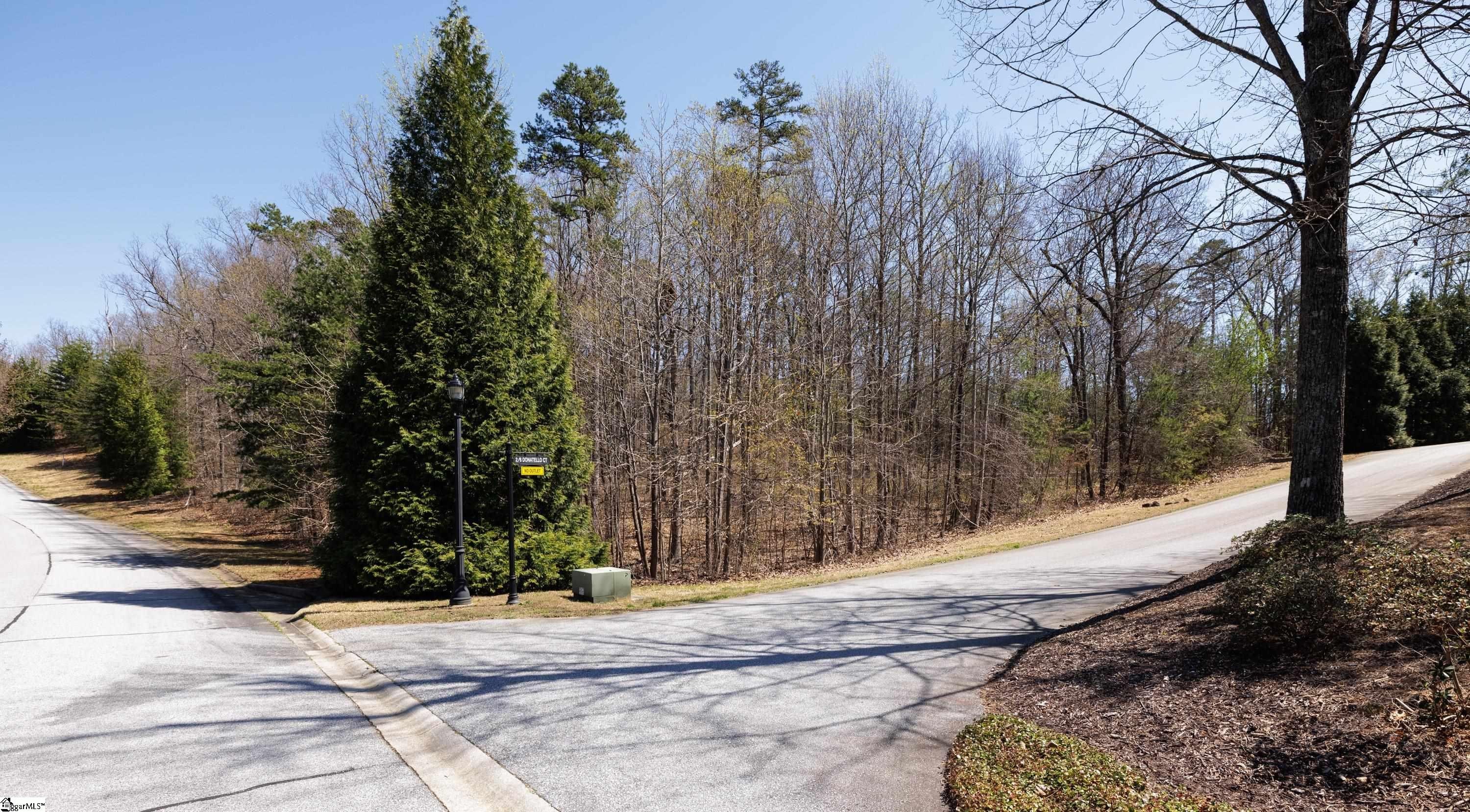 Other - 10 Donatello Court lot: 94, Greenville, SC