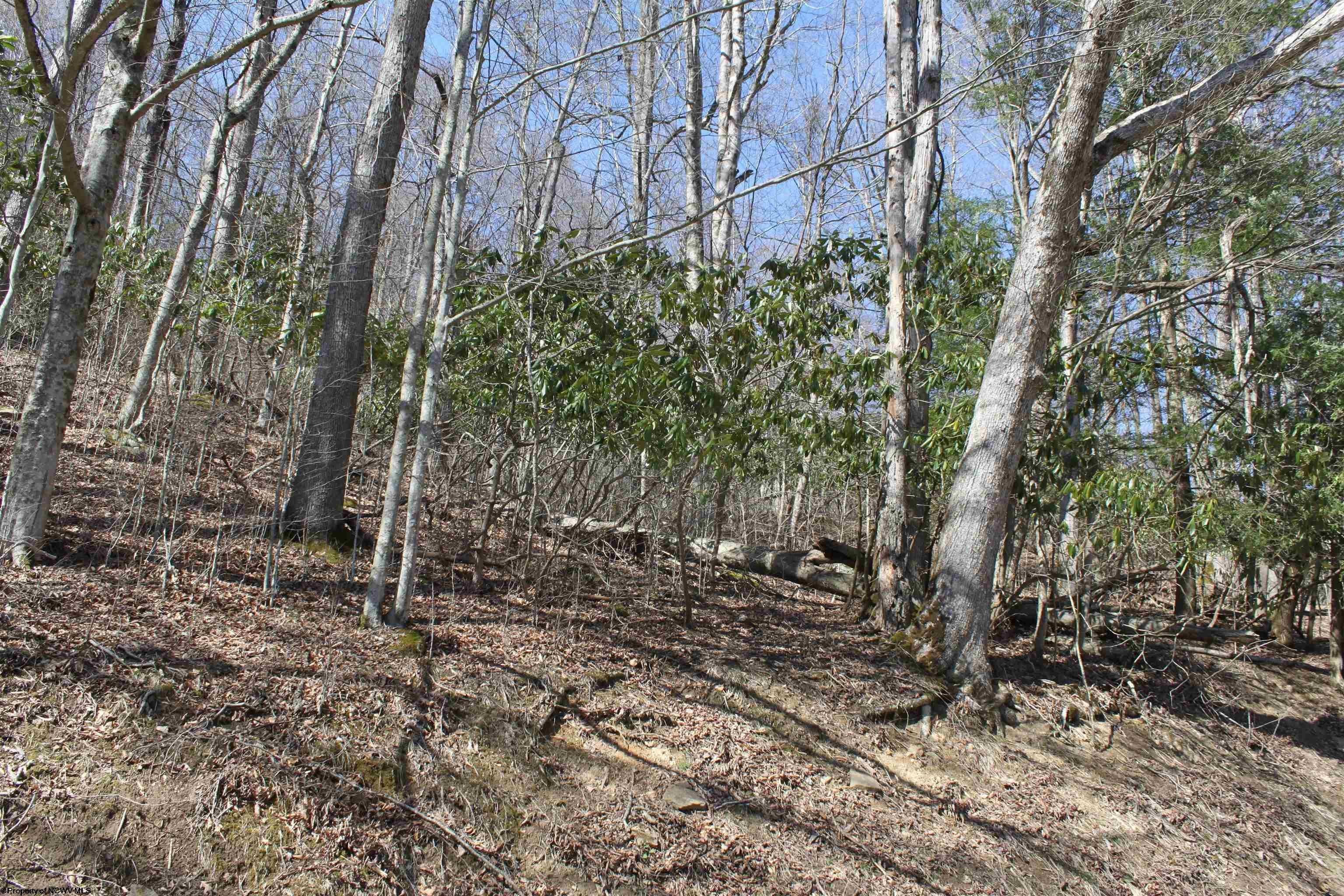 Other - 1625 Gauley River Road, Webster Springs, WV