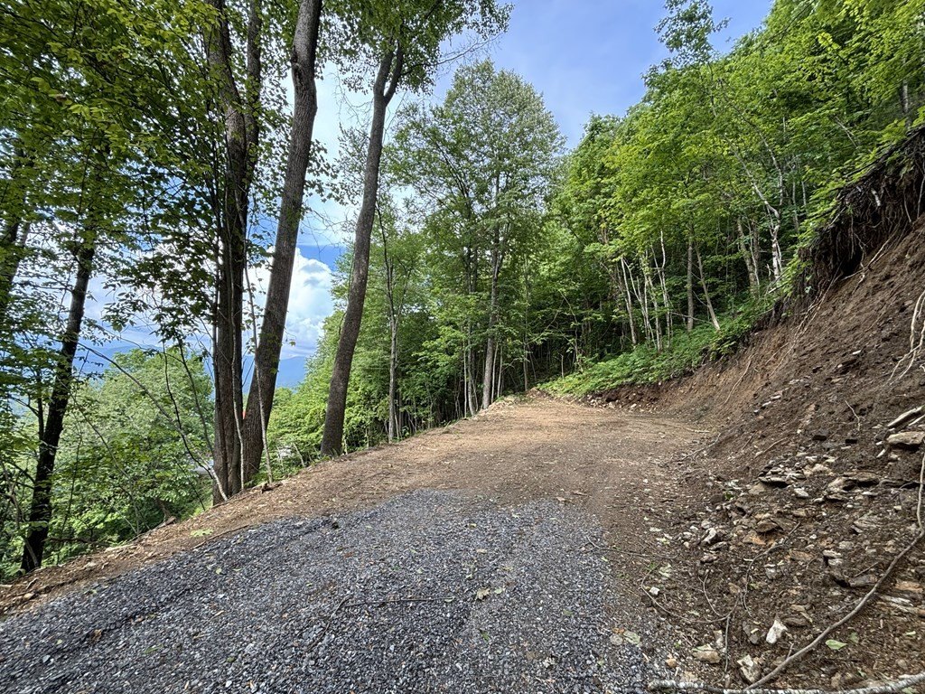 Other - Hawks Ridge Drive lot: 5, Whittier, NC