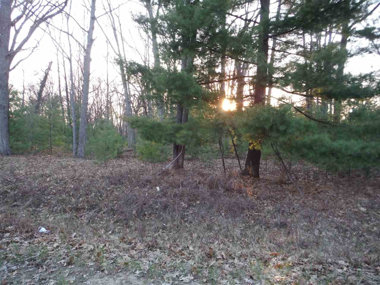 Other - Indian Oaks Lot 1, Prudenville, MI