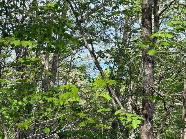 Other - Mining Gap Road, Young Harris, GA