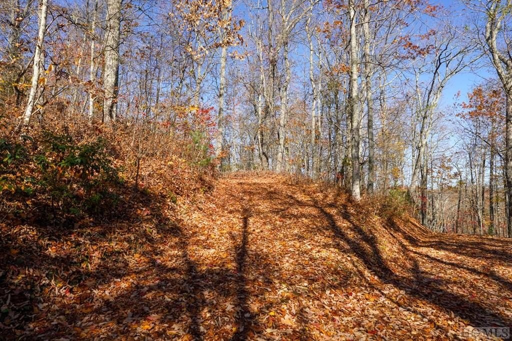 Other - High Point View Road lot: 19, Scaly Mountain, NC