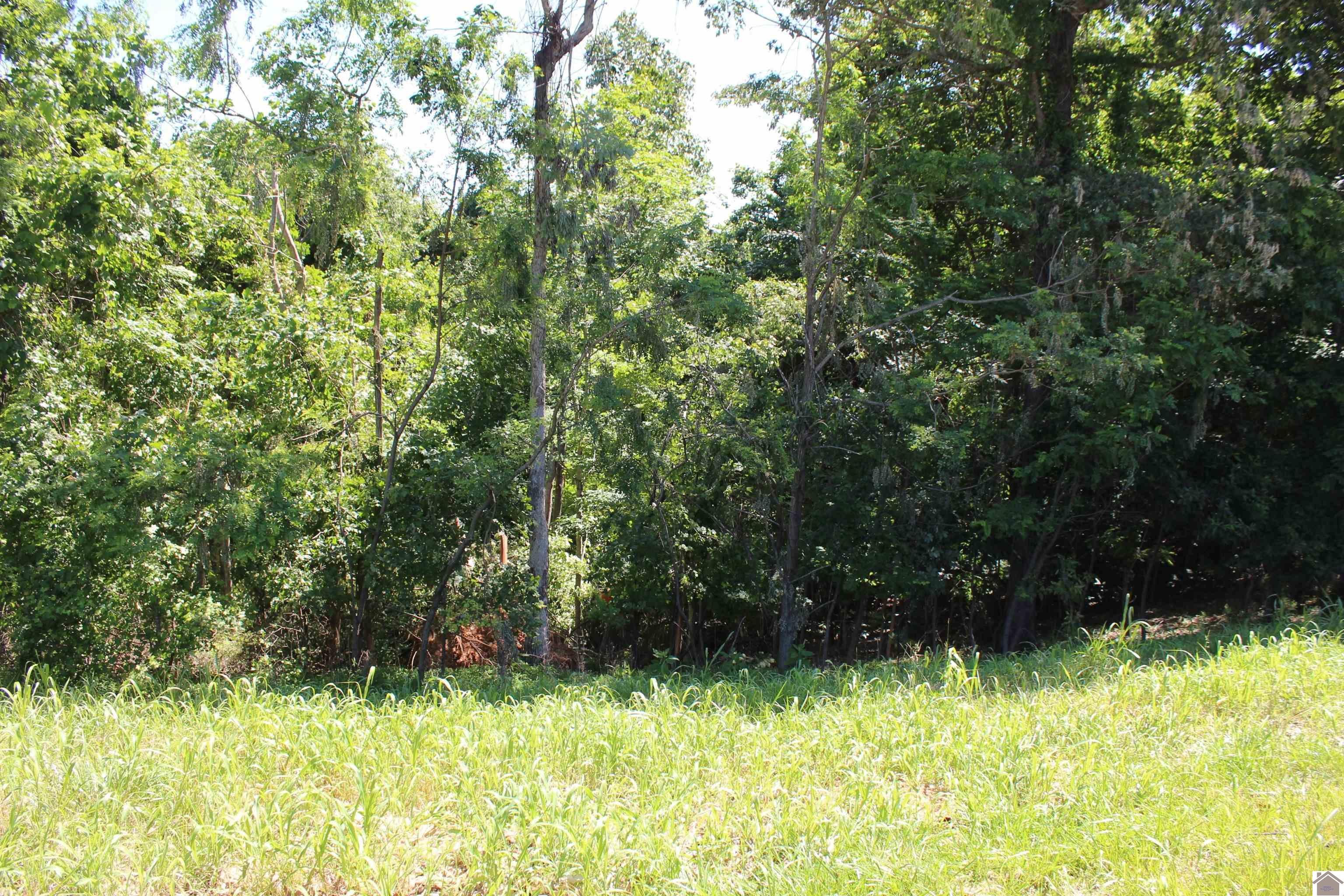 Other - Lots 14 Oak View Lane, Eddyville, KY