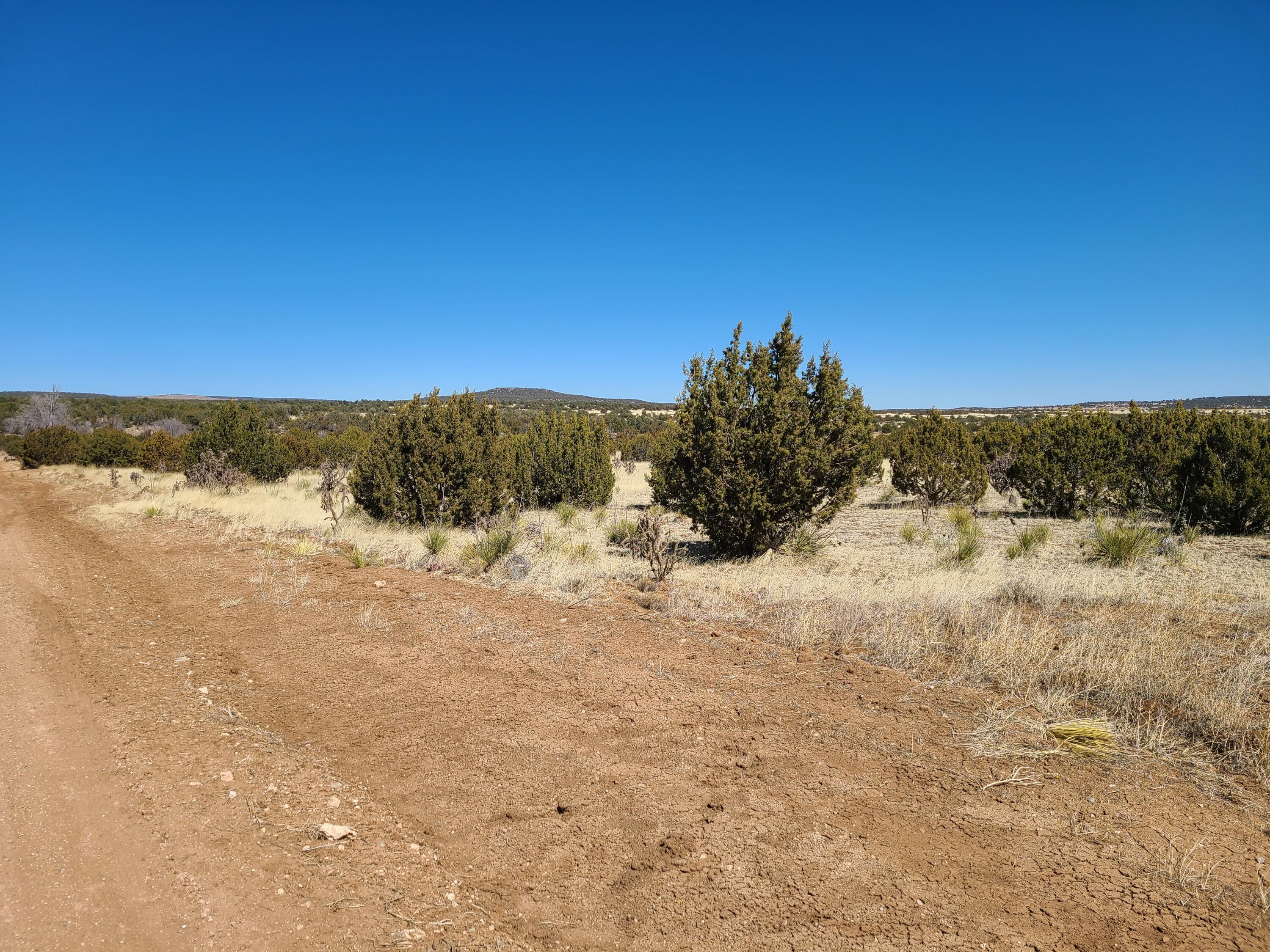 Other - Oakwood Road, Tajique, NM