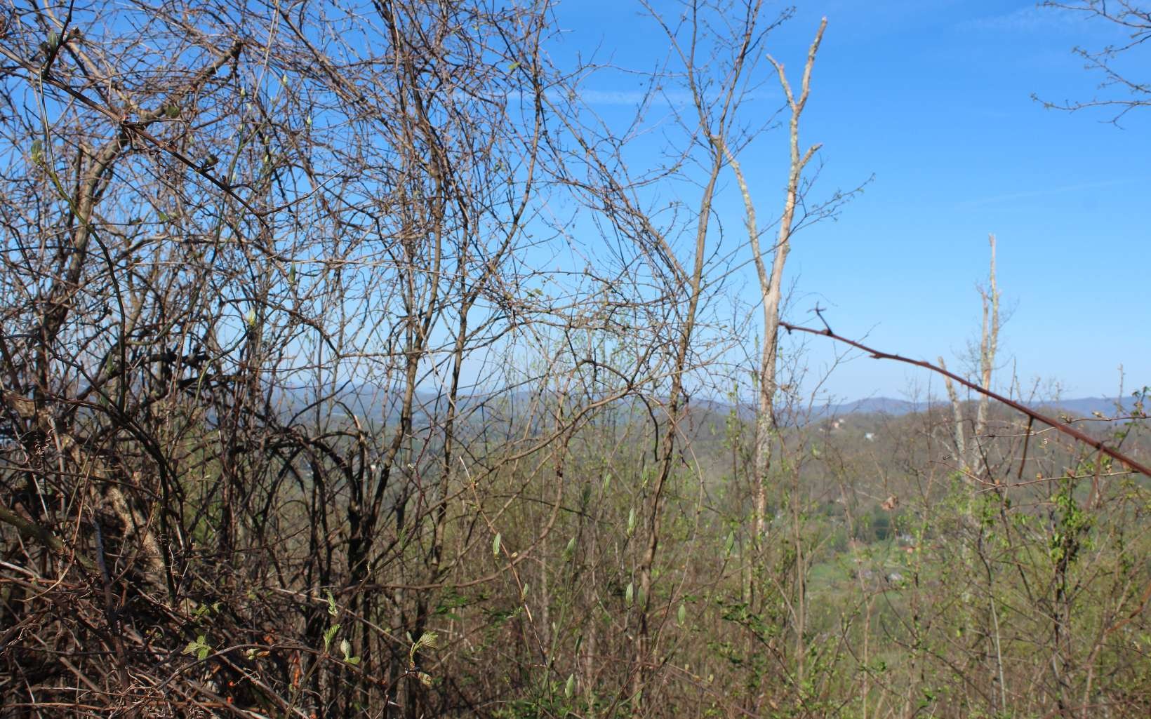 Other - LT 13 The Pinnacle lot: 13, Hayesville, NC