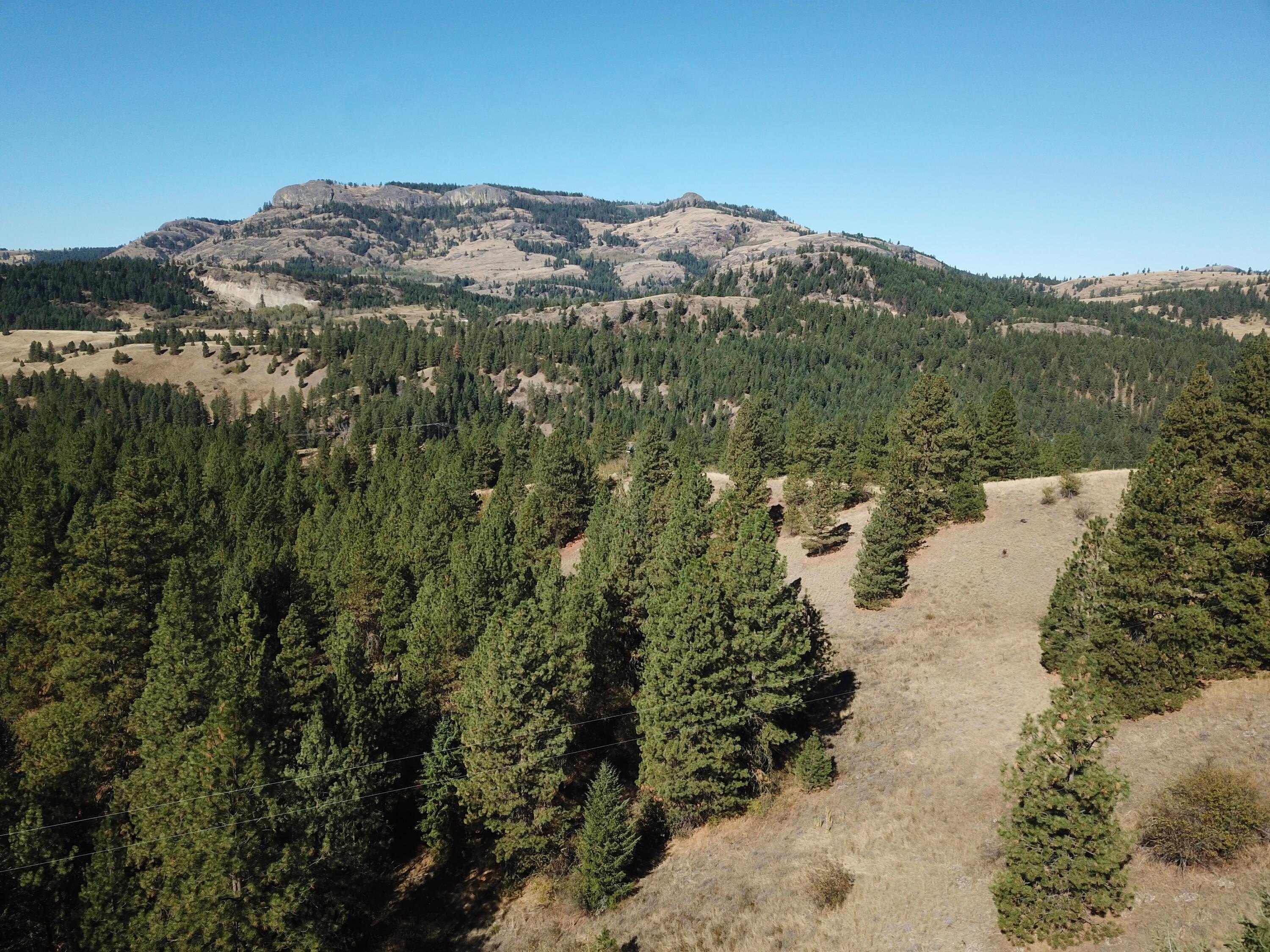 Other - 68 JOSTIN LN, MALO, WA