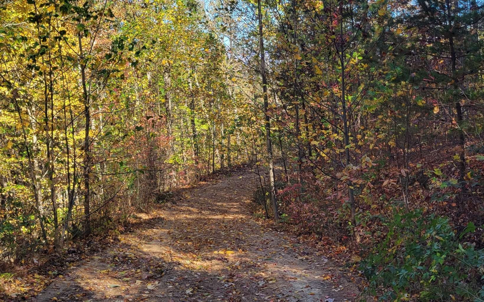 Other - 14 Ac Old Burnt Mountain, Ellijay, GA