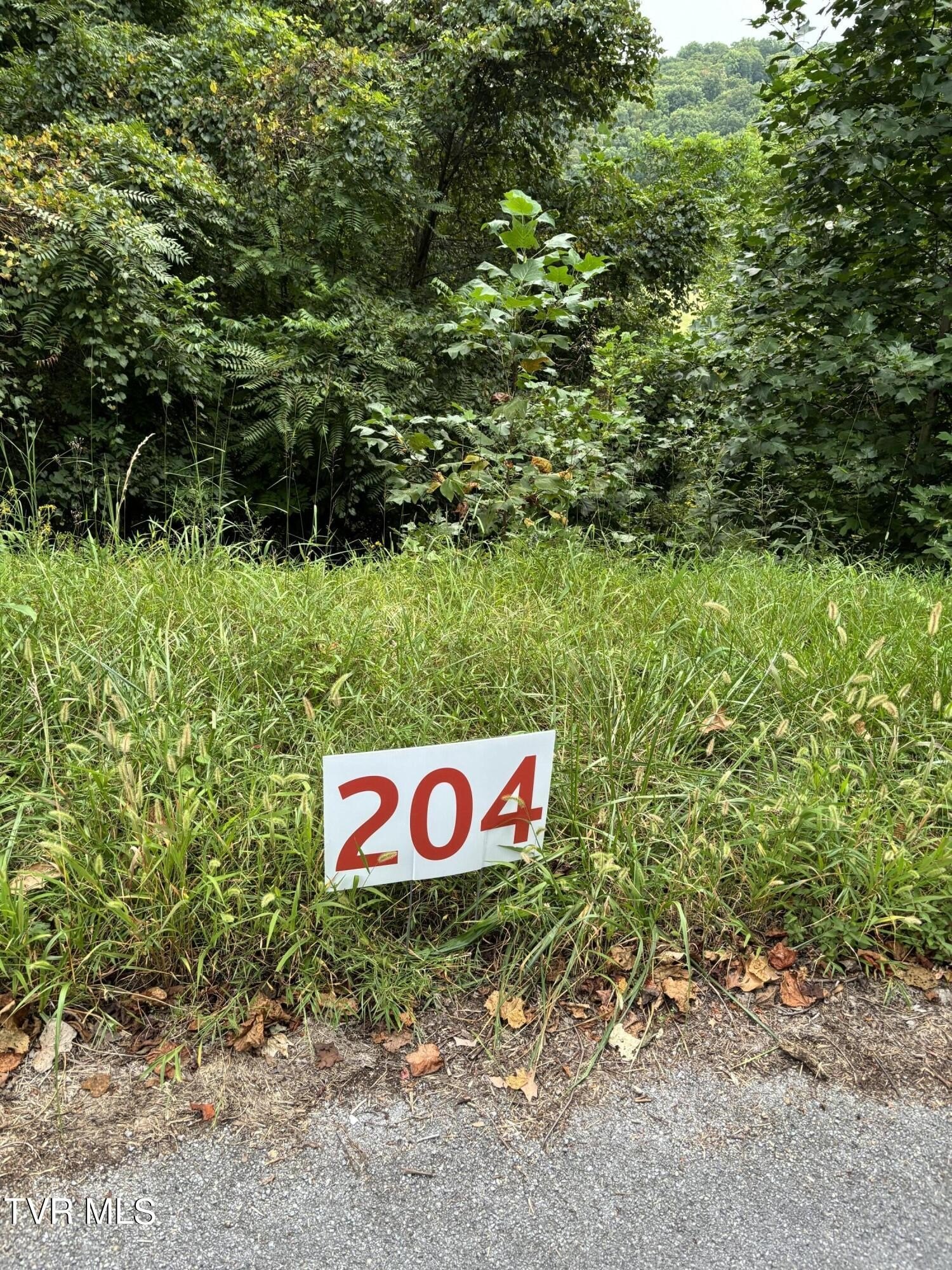 Other - 204 Ox Bow Ave, Unicoi, TN