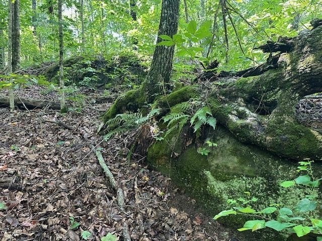 Other - Bobcat Lane lot: 89, Wilder, TN