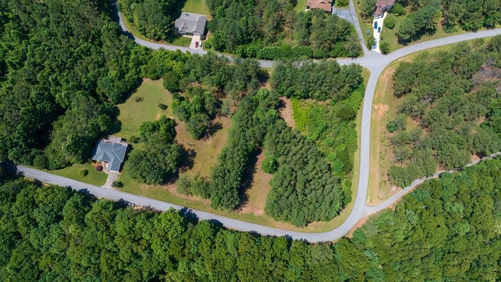 Other - Loftis Mountain lot: 21, Blairsville, GA