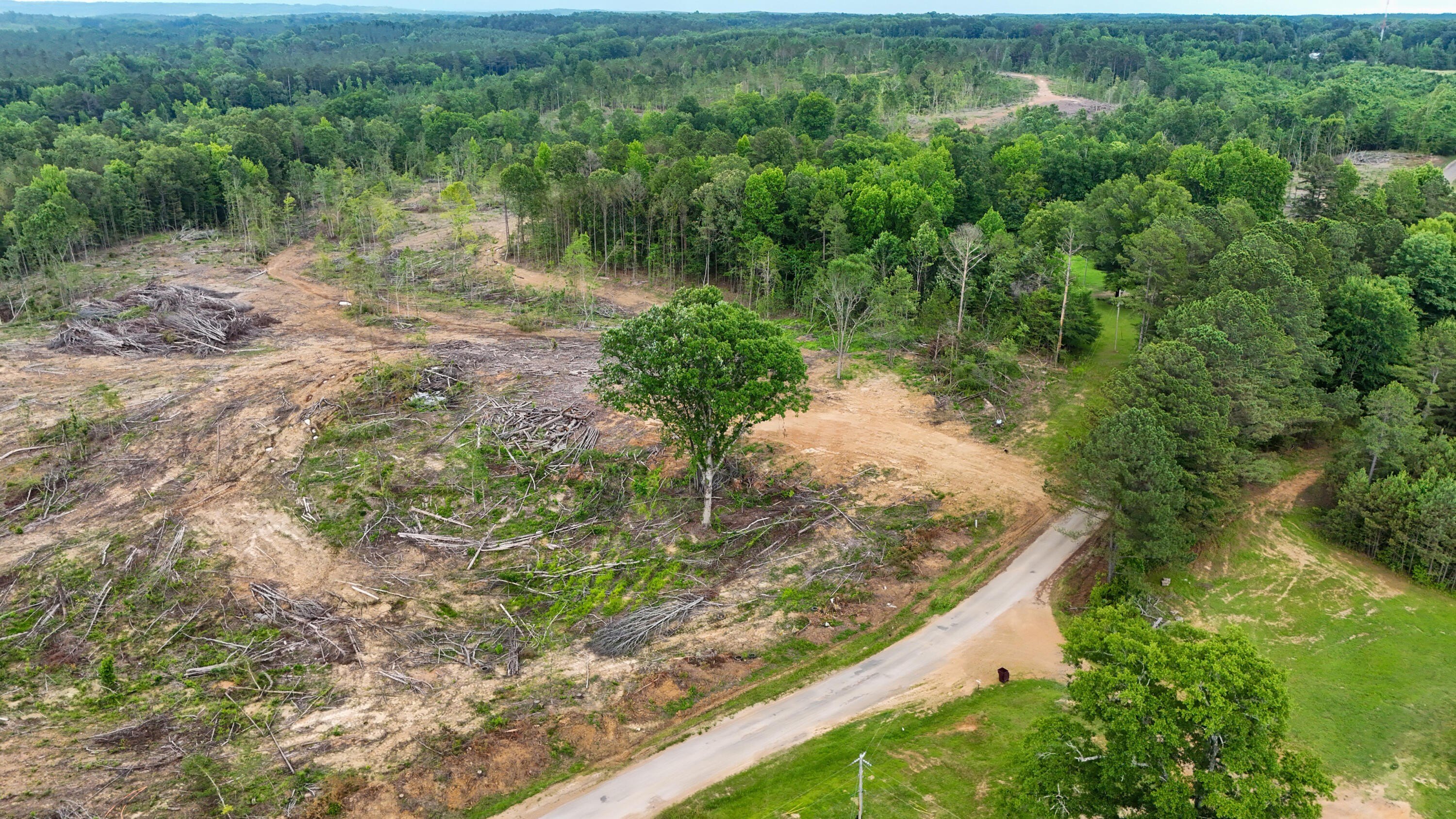 Single Family - Lot 3 Hohenlinden Road, Mantee, MS