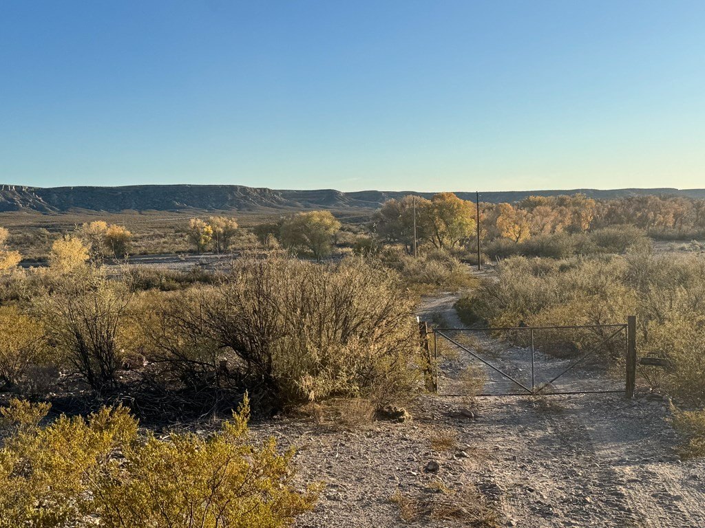 89 Alamito Creek Rd  