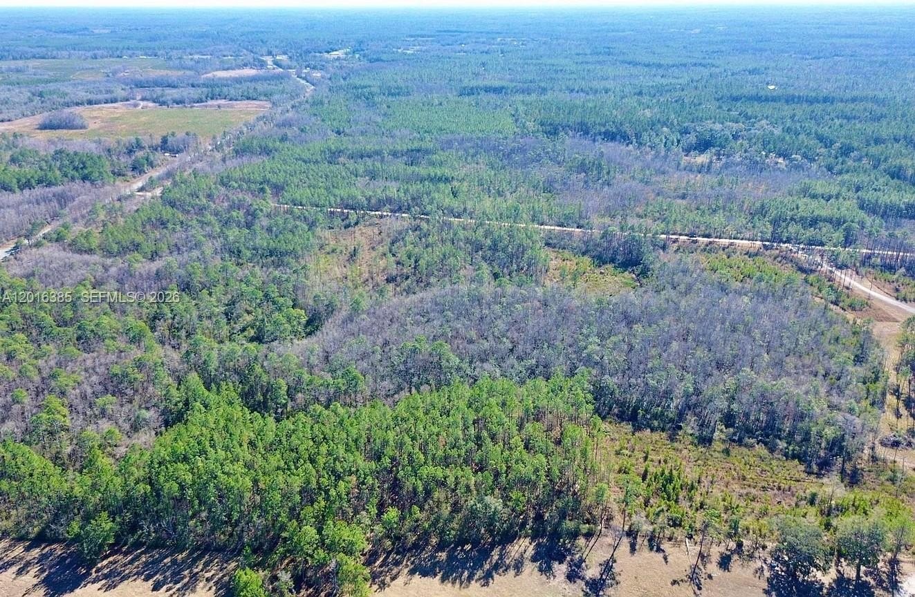 Other - Vacant Land Sands Loop SW Greenville, Other City - In The State Of Florida, FL