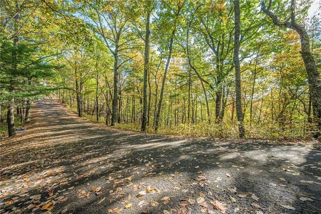 Other - Lot 19 Oceola Drive, Ellijay, GA