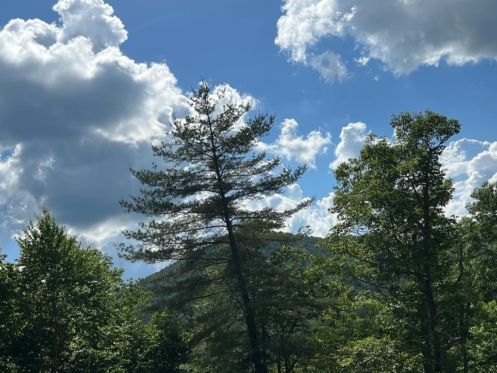 Other - Lot 68 Bowers Road, Blairsville, GA
