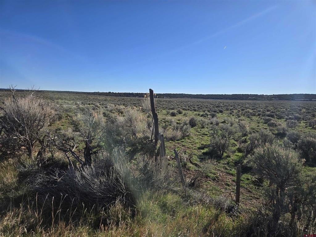 Other - 16 1/2 Road, Glade Park, CO