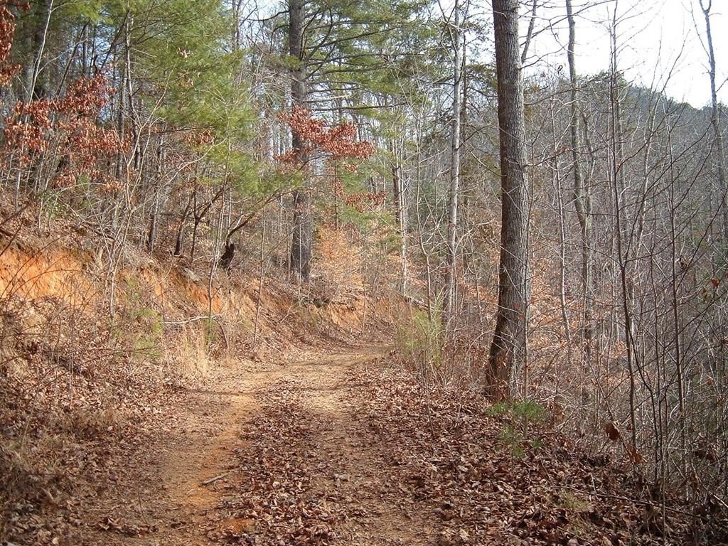 Other - Cedar Cliff/Stovall lot: 12, Tuckasegee, NC