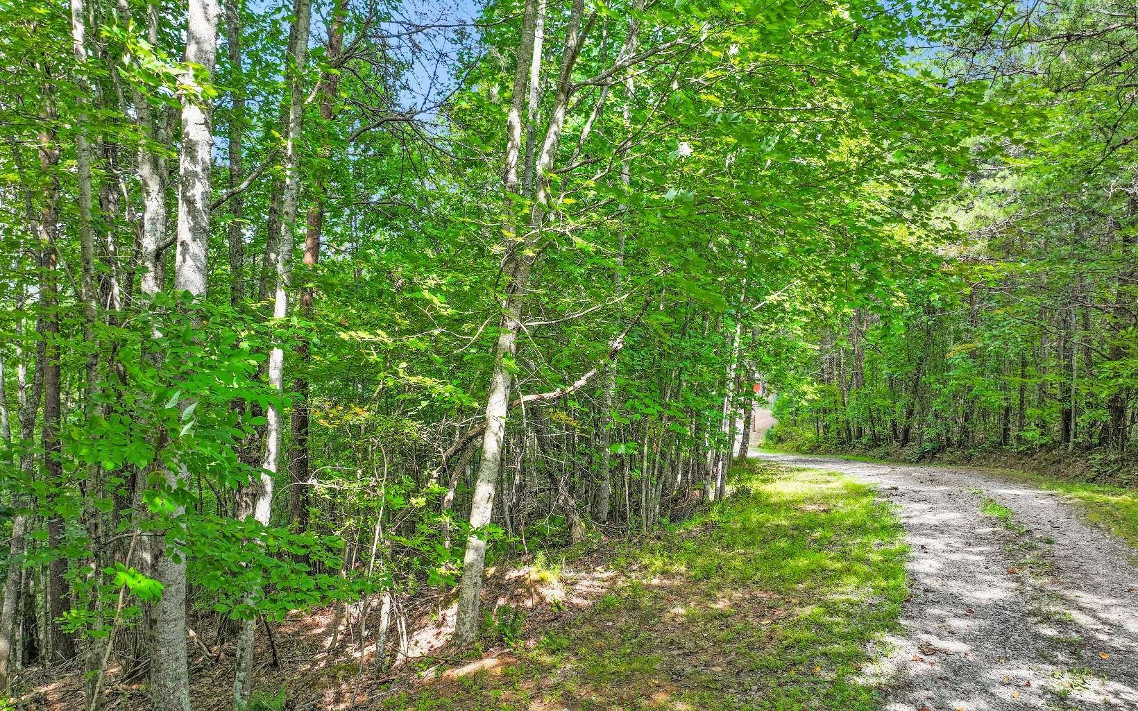 Other - North View Trail, Mineral Bluff, GA