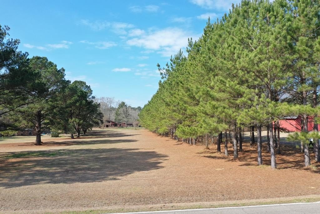 Single Family 3BR 2BA - 1305 Springhill Rd, Laurel, MS
