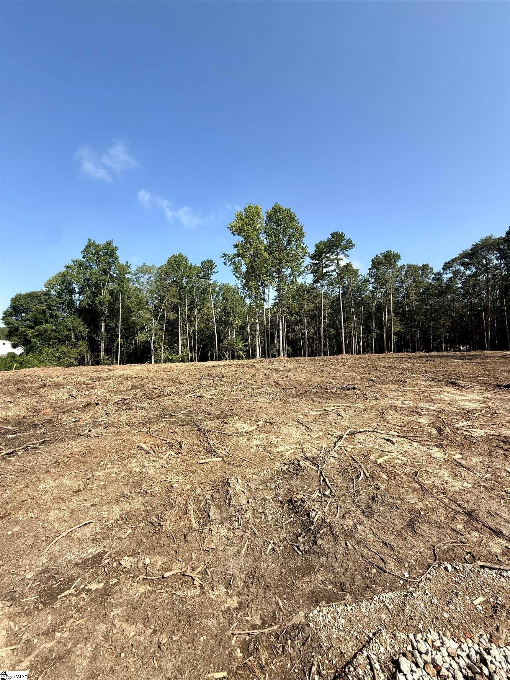 Other - Thompson Road lot: 2, Greer, SC