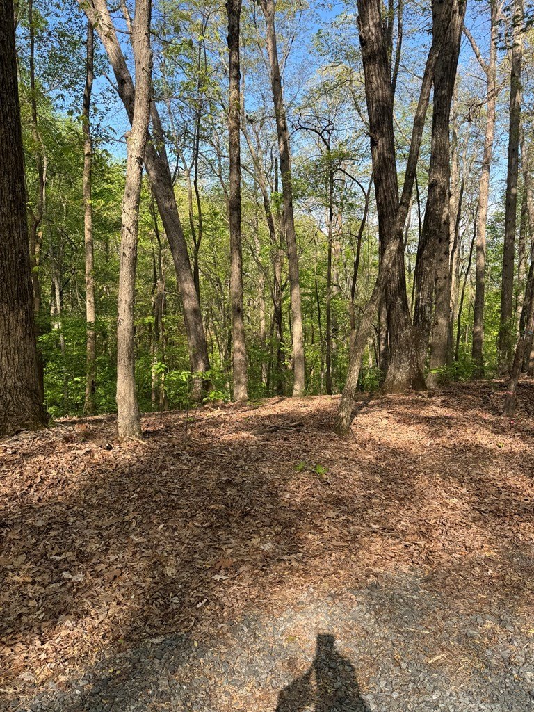 Other - Mountain View Court, Ellijay, GA