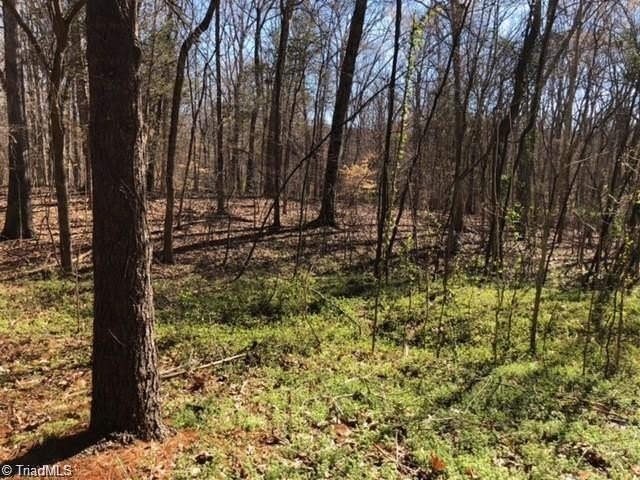 Single Family - 214 Holly Lane, Mocksville, NC