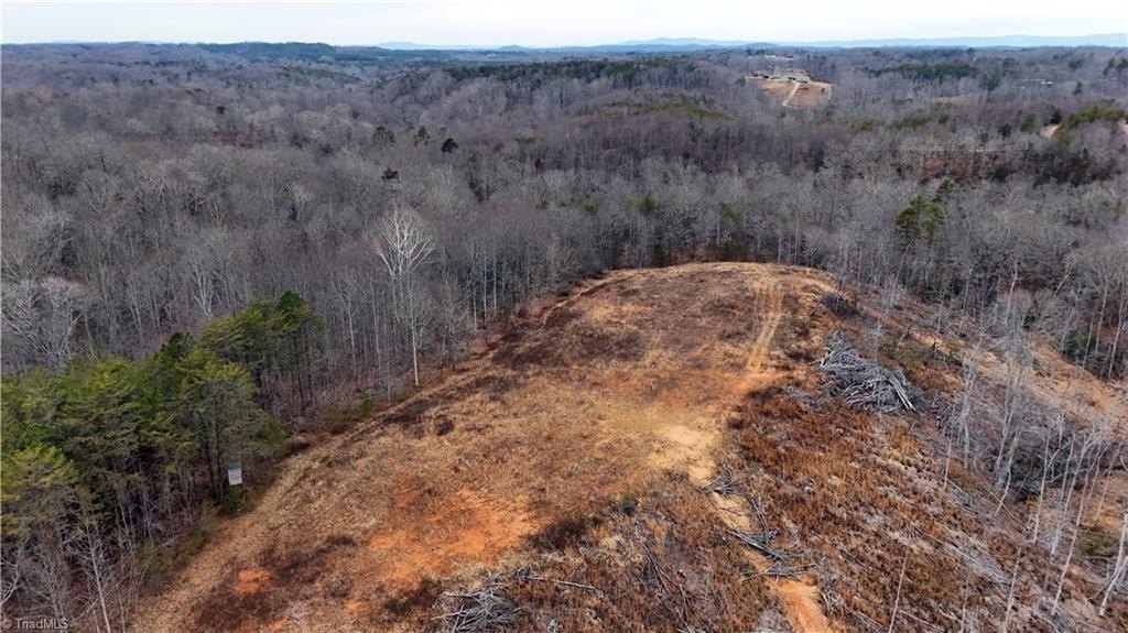 Other - 19.25+/- AC Pork Trail, Pinnacle, NC