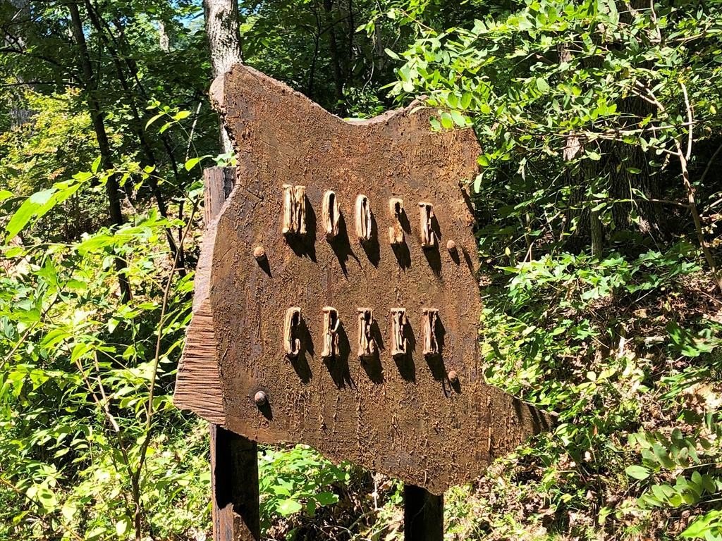 Other - Erwin Lane lot: 1-8, Waynesville, NC