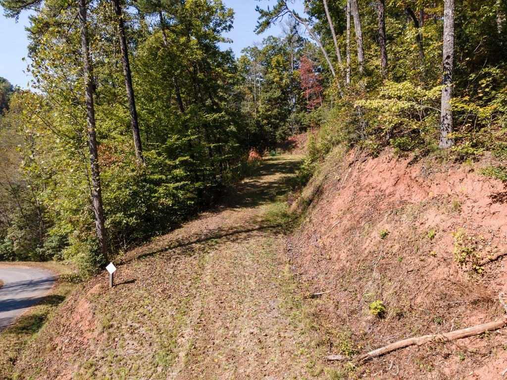 Other - 1390 Dog Hobble Drive lot: 71, Franklin, NC