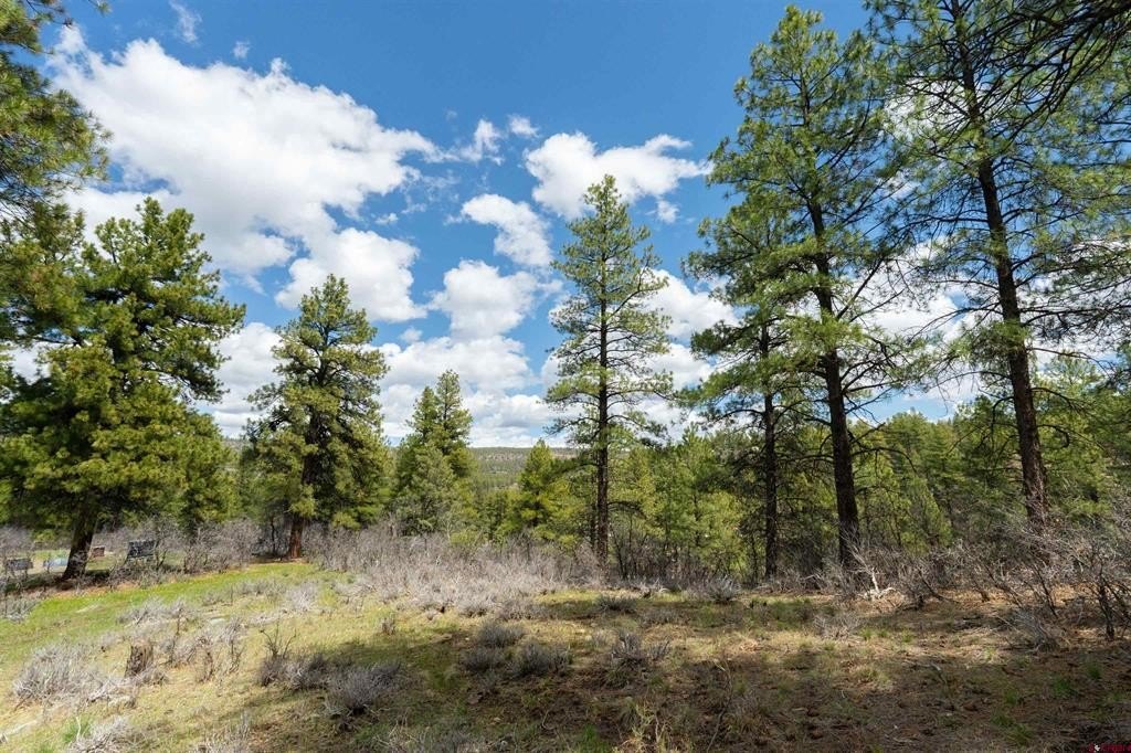 Other - 422 Oakridge Drive, Pagosa Springs, CO