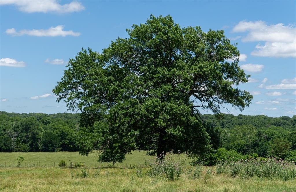 Other - 248 Shaffer Road, Denison, TX