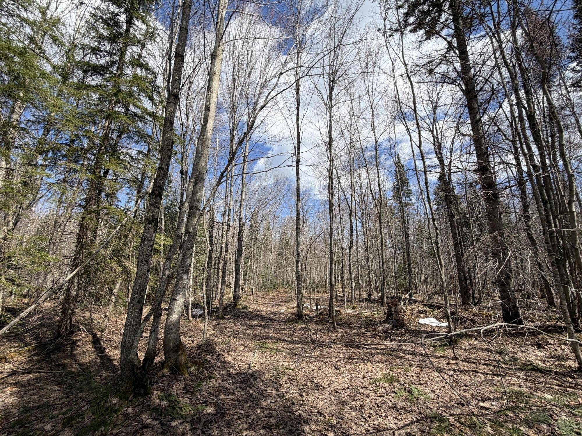Single Family 1BR 1BA - 11445 N Chesbrough Lake RD, Newberry, MI