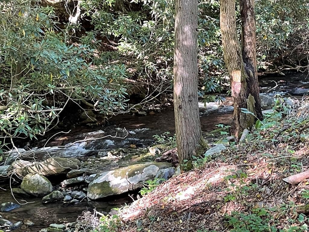 Other - 5 Tusquittee Crossing lot: 5, Hayesville, NC