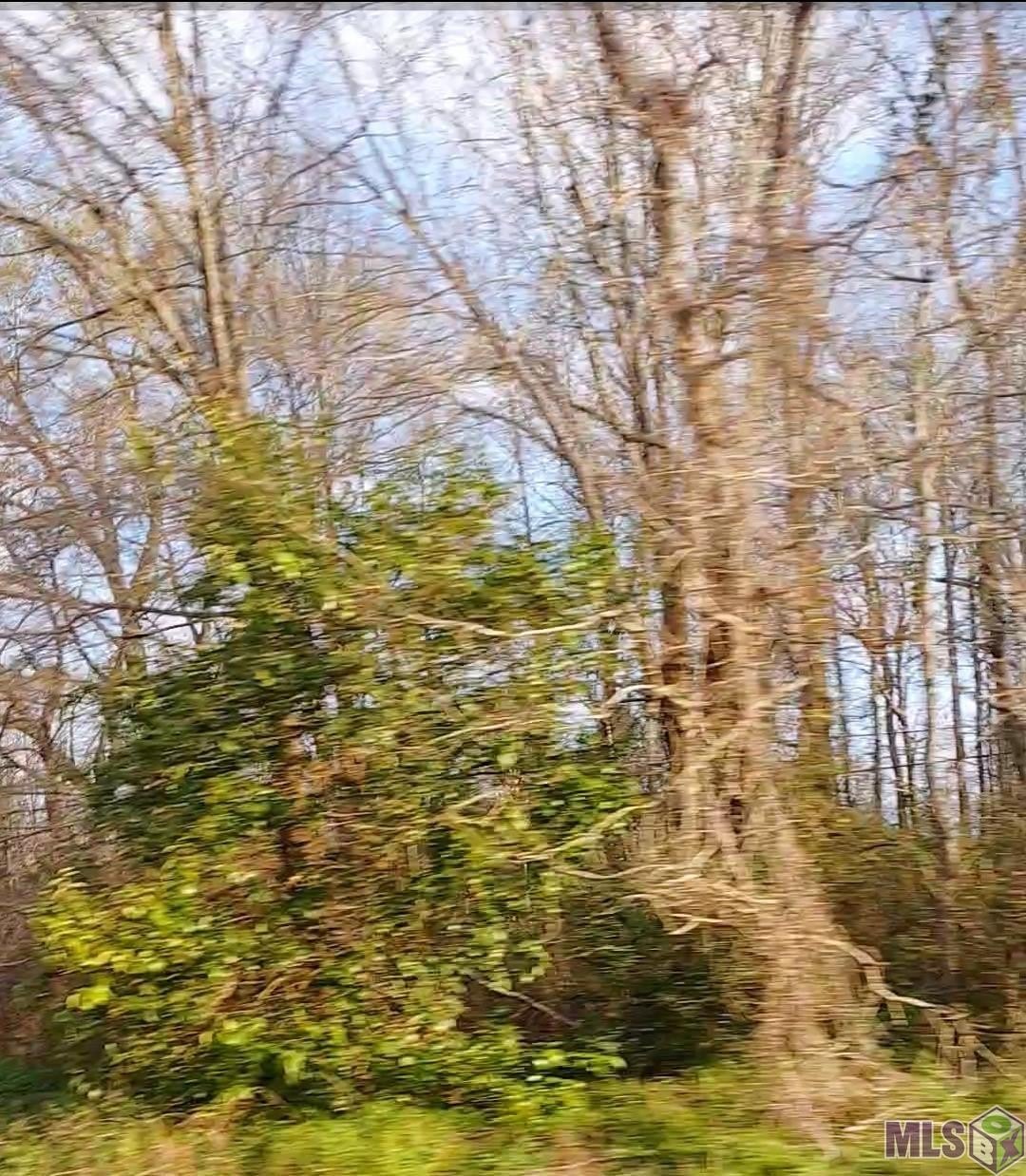 Lot 50-A EL SCOTT AVE  