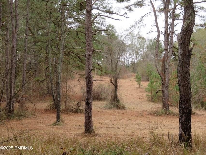 Other - 301 County Road 31, Heidelberg, MS