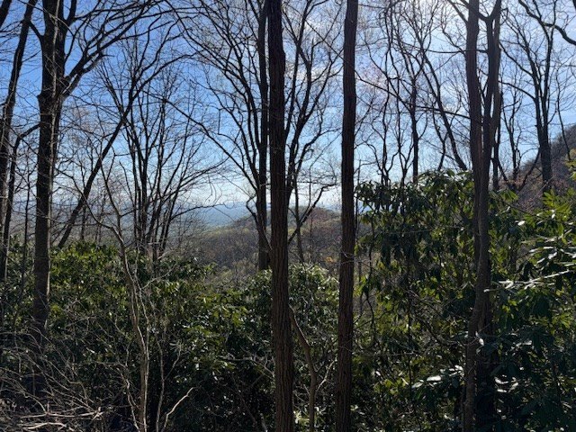 Other - Antler Point lot: 28, Hillsville, VA