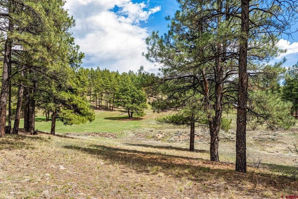 Single Family - 841 Beaver Creek Drive, Bayfield, CO