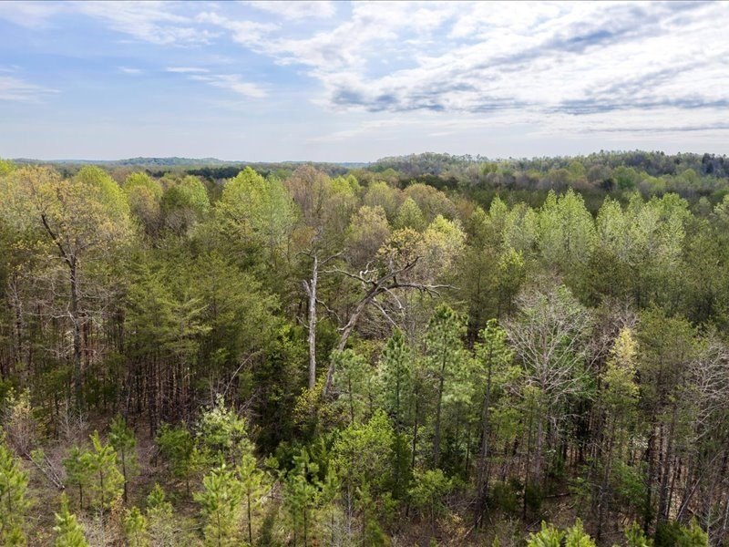 Other - Cutbanks Road, Pamplin, VA