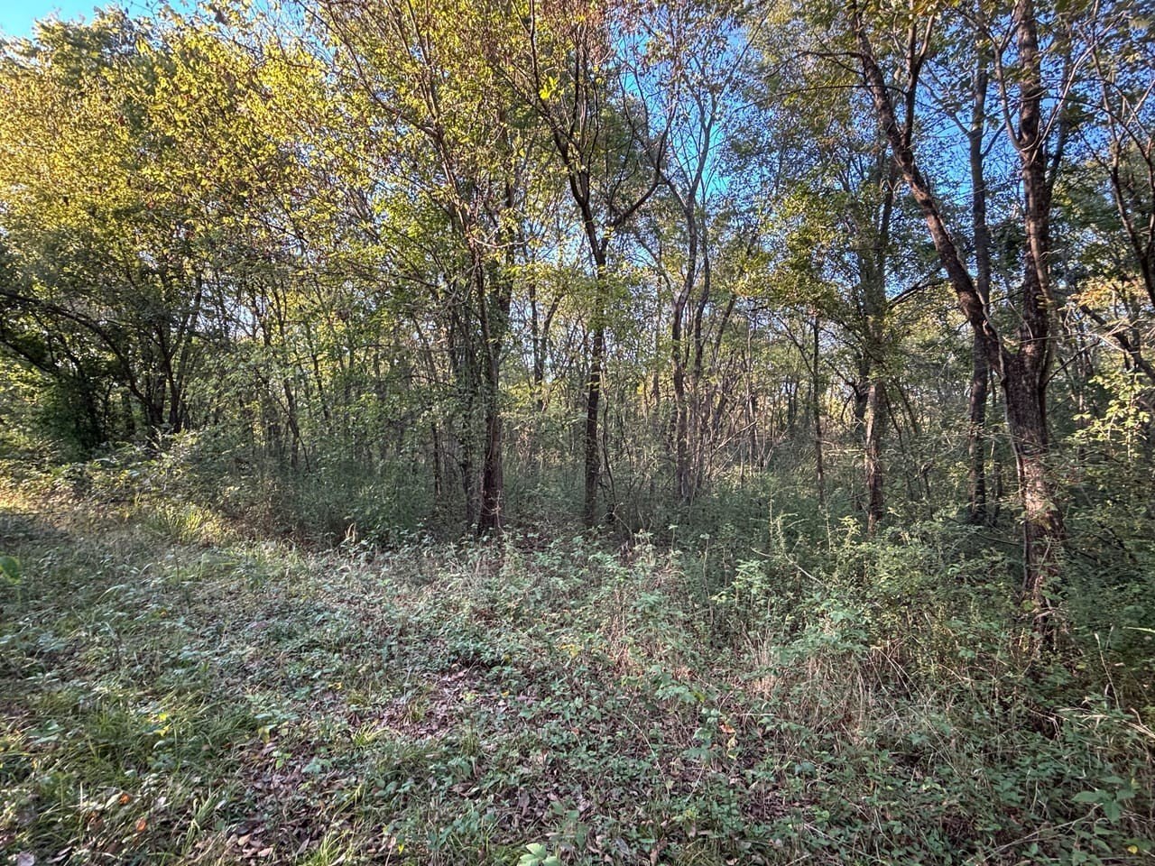Other - Tbd Walnut St, Mccurtain, OK