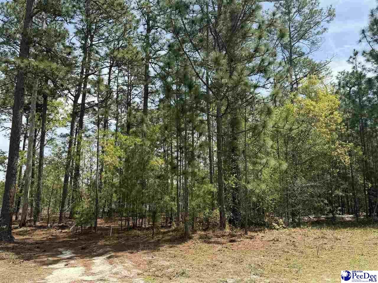 Manufactured Housing - TBD Sandbar Court, Dillon, SC