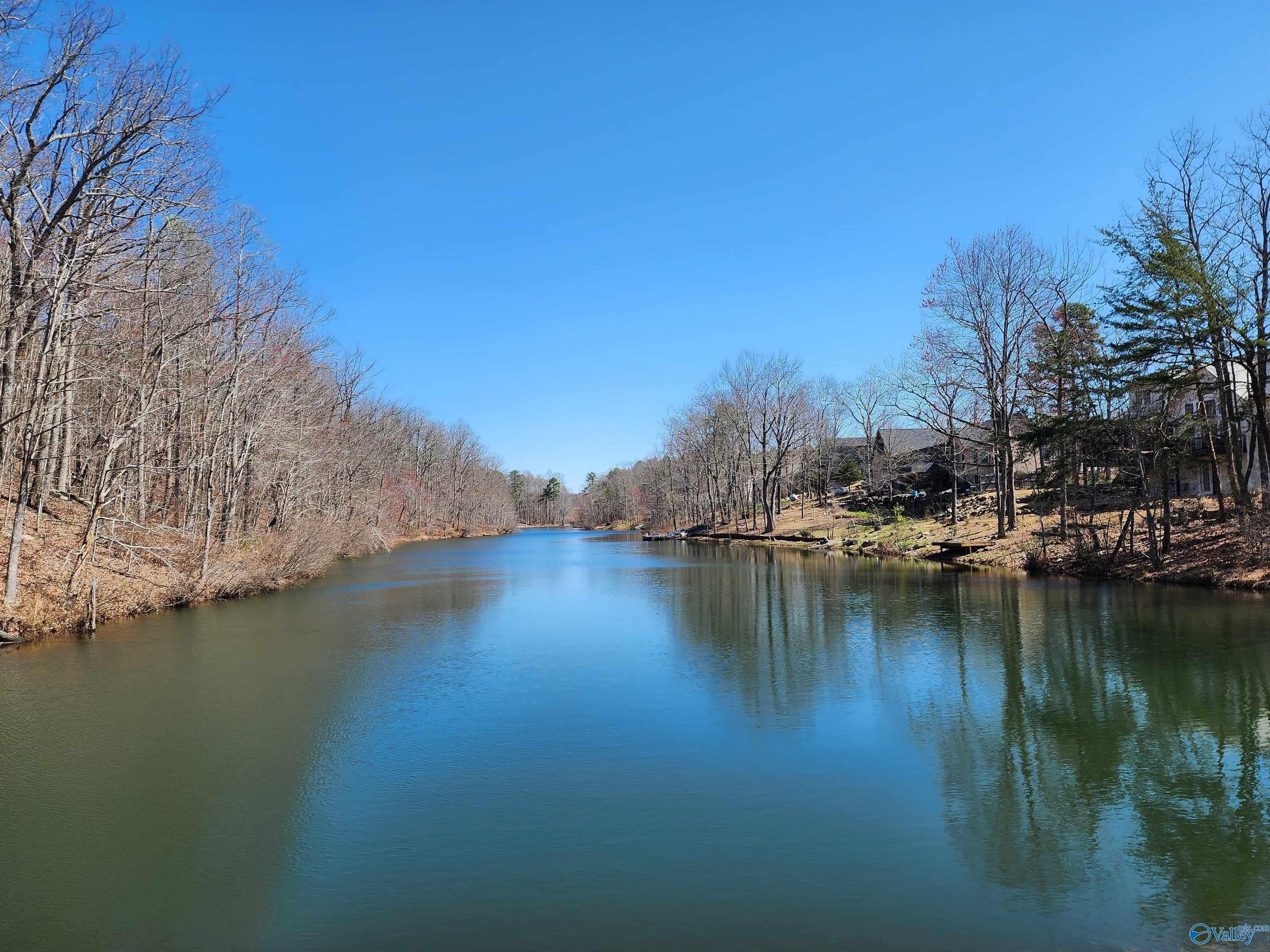 Other - County Road 839 lot: 85, Mentone, AL