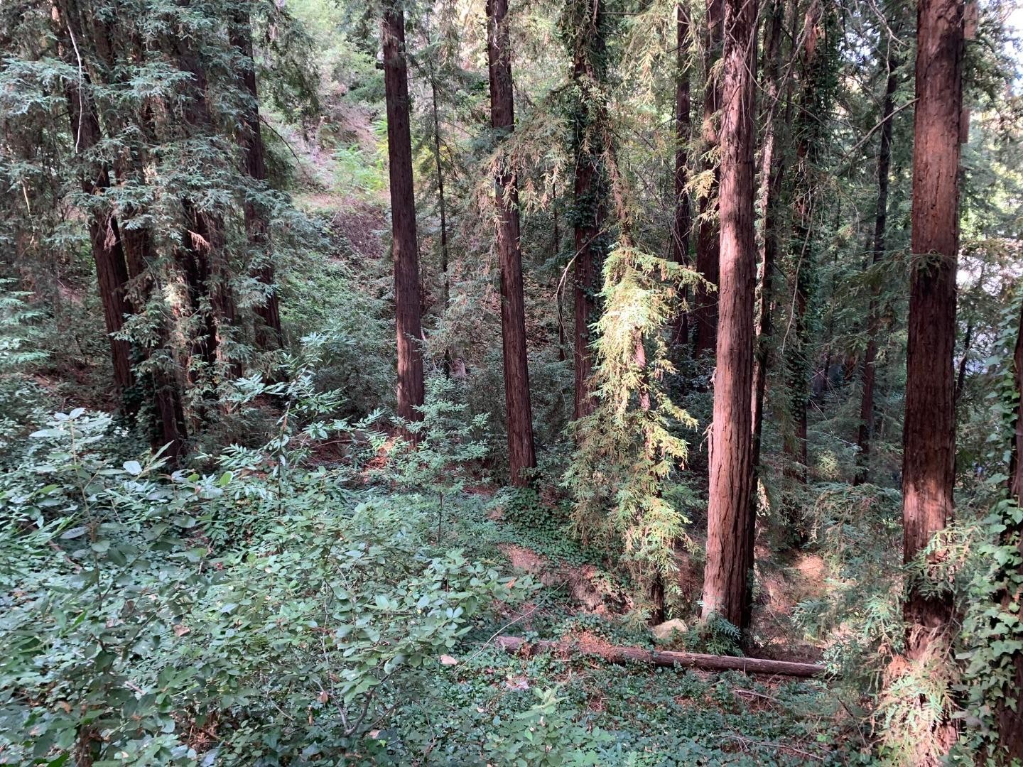 Other - 21745 Lindbergh DR, LOS GATOS, CA