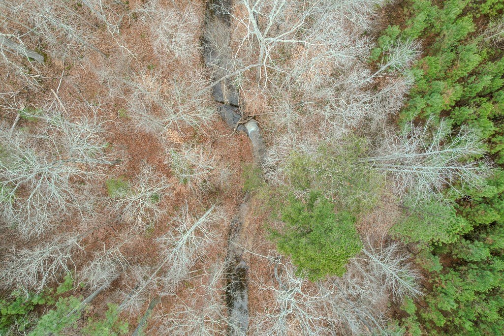 Other - Perkins Mill Rd, Dillwyn, VA