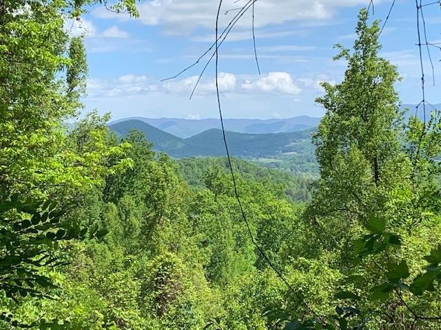 Other - Morgan Ridge Drive lot: 3, Young Harris, GA
