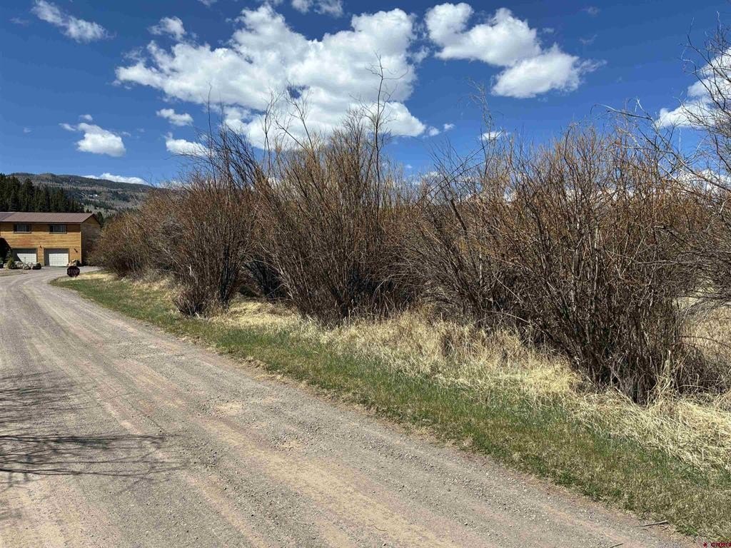 Other - Lot 25&26 Cottonwood Drive, Antonito, CO